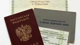 Что брать на замену паспорта в 20 лет: полный список документов в Wildberries