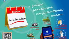 Что делать, если забыл пароль от 