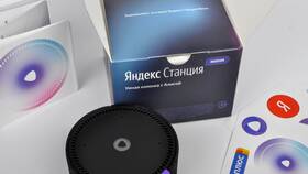 Что может Яндекс Мини без подписки в Wildberries