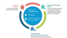 Как быстро перечисляют материнский капитал продавцу в Wildberries