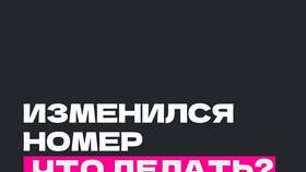 Как изменить номер телефона в Госуслугах через Сбербанк в Wildberries