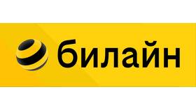 Как оплатить услуги Билайн в Wildberries