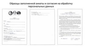 Как правильно отправлять документы и сообщения в Wildberries