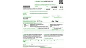 Как проверить наличие ОСАГО на автомобиль в Wildberries