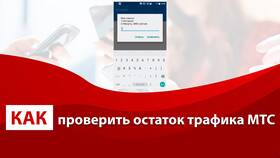 Как проверить остаток интернет-трафика на МТС в Wildberries