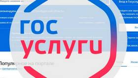 Количество учетных записей на Госуслугах в Wildberries