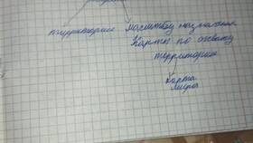 На какие группы делятся товары в Wildberries