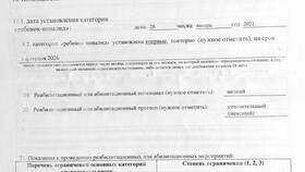 От чего зависит пенсия по инвалидности в Wildberries