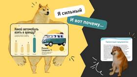 Отправь что-то смешное: идеи для поднятия настроения
