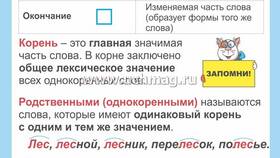 Приставка как часть речи в Wildberries