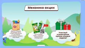 Стоимость амняма в магазинах Пятерочка в Wildberries