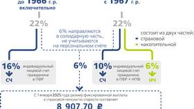 Страховые ОПС: что это? в Wildberries
