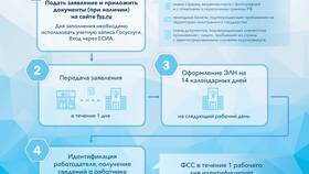 Выплаты ФСС: что это в Wildberries