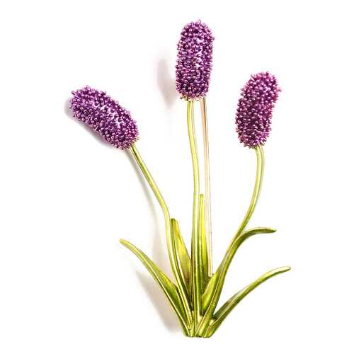 Брошь СHANTAL 5860 в Wildberries