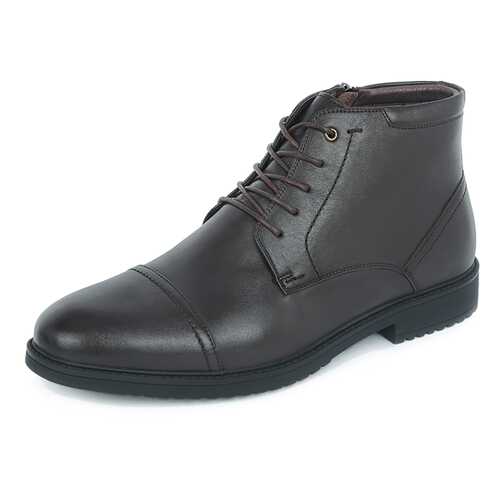 Ботинки мужские Pierre Cardin 710018537 коричневые 45 RU в Wildberries