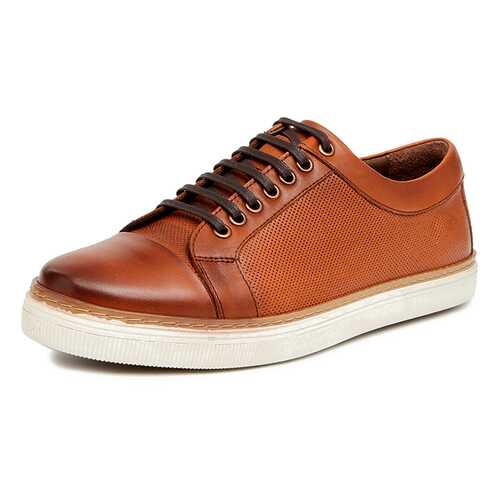 Кеды мужские Pierre Cardin 029065C0 коричневые 43 RU в Wildberries