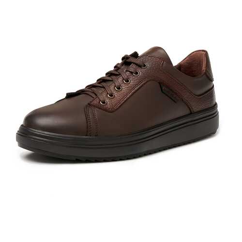 Кеды мужские Pierre Cardin TR-LR-992 коричневые 41 RU в Wildberries