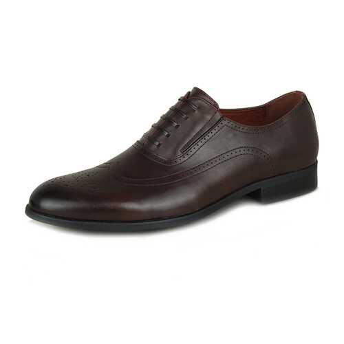 Туфли мужские T.Taccardi DSU2020-40 коричневые 43 RU в Wildberries