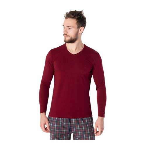 Футболка мужская Cacharel 1334 бордовая M в Wildberries
