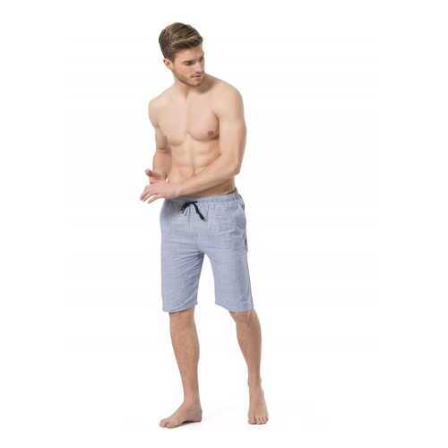 Шорты мужские Cacharel 2174-1 голубые L в Wildberries
