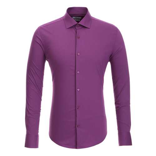 Рубашка мужская BAWER 1R00012-04 фиолетовая M в Wildberries