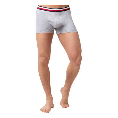 Трусы мужские OPIUM R124 серые M в Wildberries