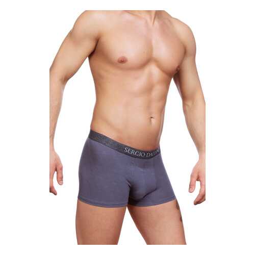 Трусы мужские SERGIO DALLINI SG2305 серые XL в Wildberries