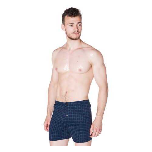 Трусы мужские Sis A3914 синие XXL в Wildberries