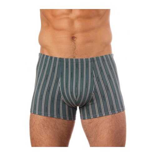Трусы мужские UOMO FIERO 039FH зеленые XL в Wildberries