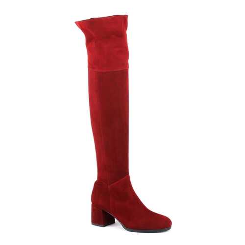 Ботфорты женские Eliza di Venezia O0355 красные 40.5 RU в Wildberries